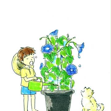 8月のイラスト