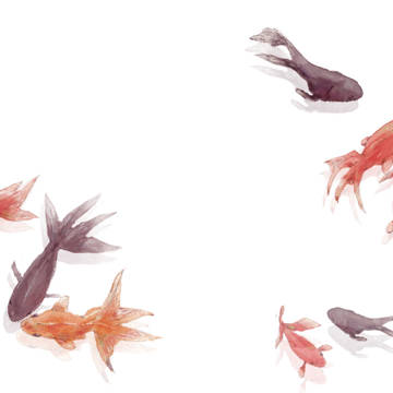 金魚
