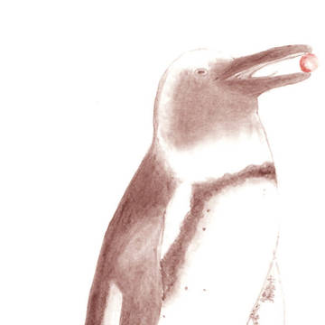 アナログペンギン