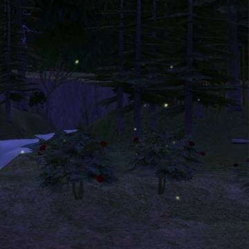 サルマキスの淵　in　SIMS2