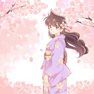 樱花兰