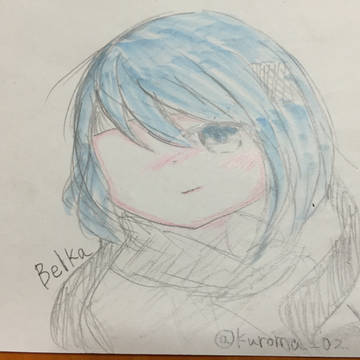 ベルカをかき続ける