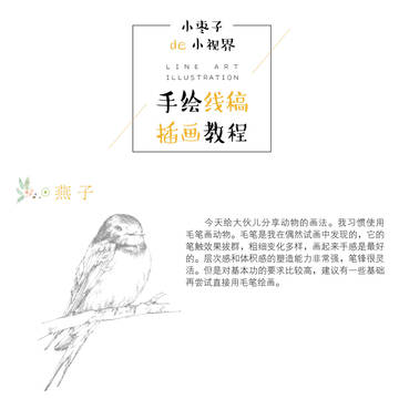 《小枣子的小视界-手绘线稿插画攻略》教程2小燕子