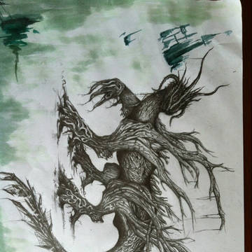 树木龙