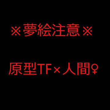 TF夢絵3