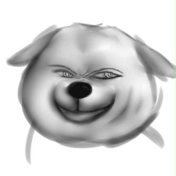 doge