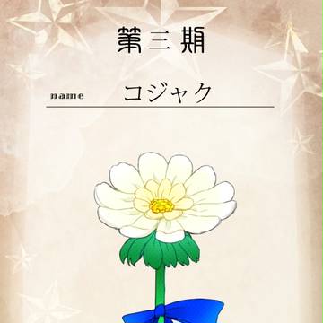 【花冠】コジャク【投票】