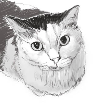 猫落書き詰め合わせ