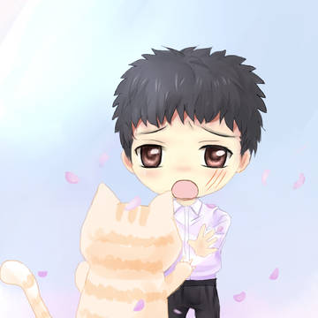 猫贼