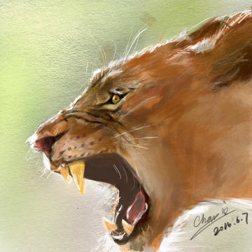 lion