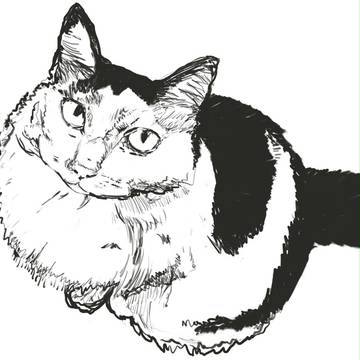 猫　落書き