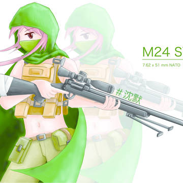 M24 SWS