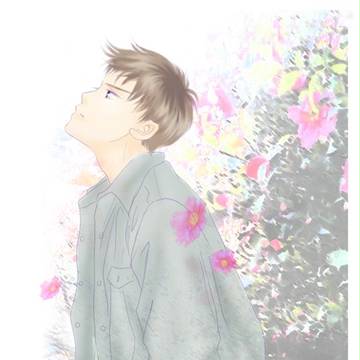 見上げて