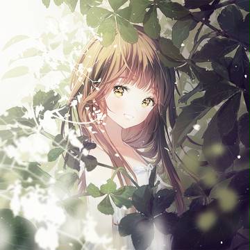 森、穏やかな音