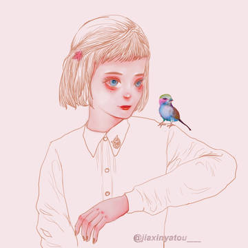 鸟