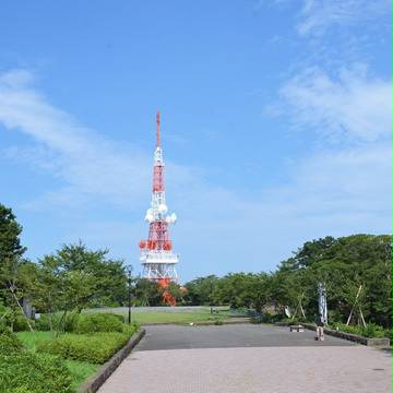 山から見た住宅地