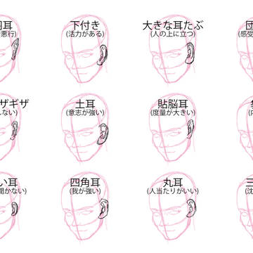 耳による性格分け