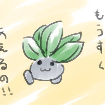 ぽけ