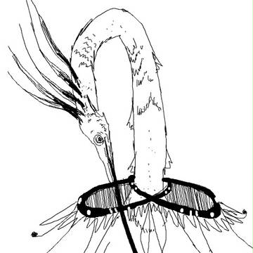鳥