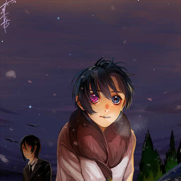 snow night