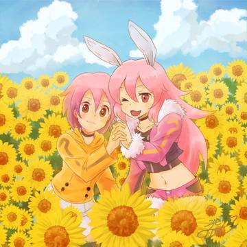 ダブル