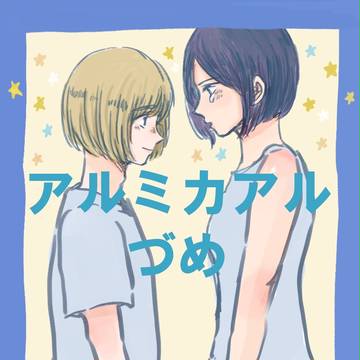 アルミカアルづめ