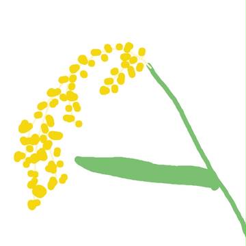 稲