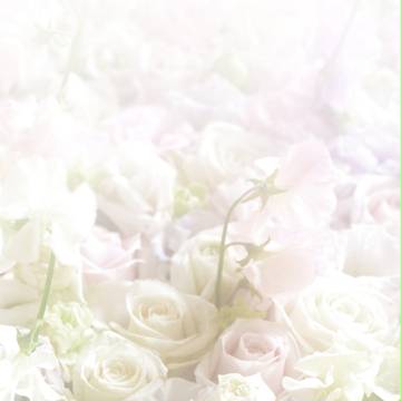 【9/4壁博10新刊サンプル】R.I.P