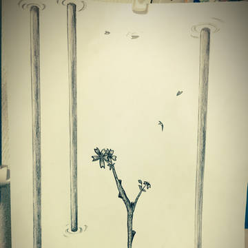 桜の枝