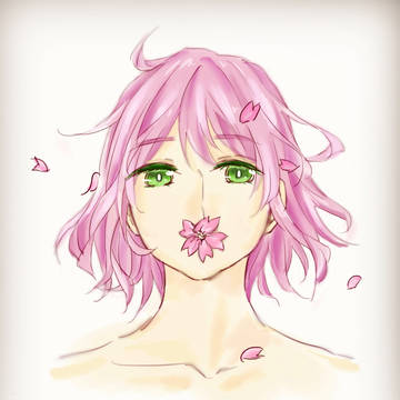 sakura