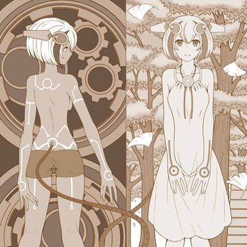 Dimension W