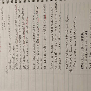 歓喜にも似た狂気:番外編01