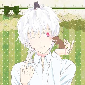 紫苑誕