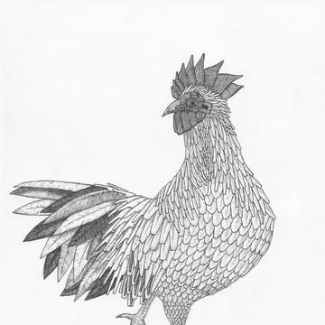 ニワトリ