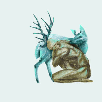 deer鹿