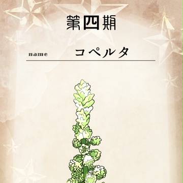 【花冠】コペルタ【第四期投票】