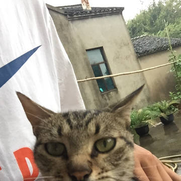 冷漠脸