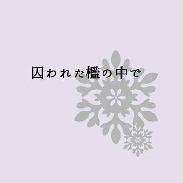 【朱ソフィ小説】囚われた檻の中で【エブリバディ5】