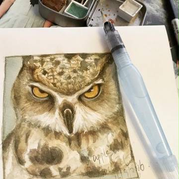 apple owls