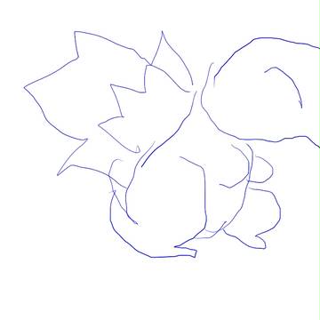 ヒノアラシ