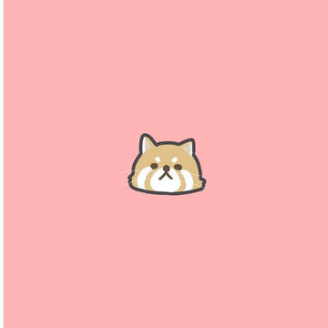 レッサーパンダ