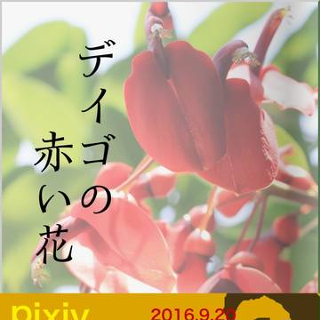 『デイゴの赤い花』表紙