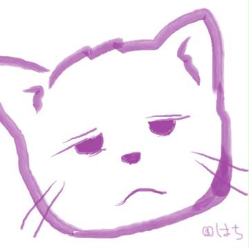 どっかで見た顔の猫