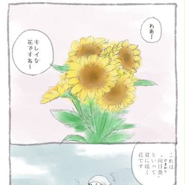 向日葵