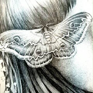 点描 《 蛾 》