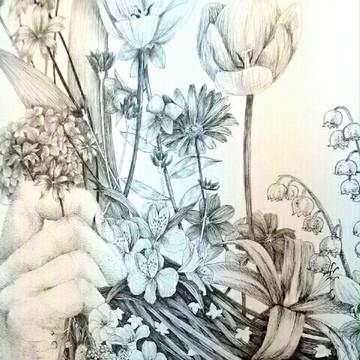 ペン画 植物 花