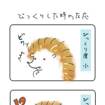はりねずみ７