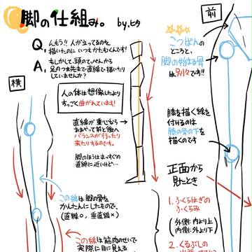 脚の仕組み