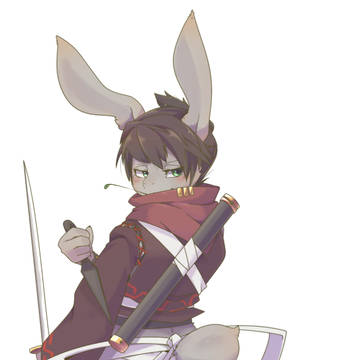 忍者うさぎ
