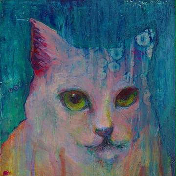 ねこ